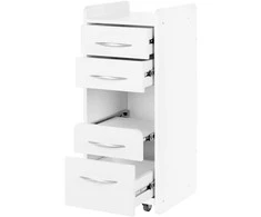 Activeshop Kosmetologinis vežimėlis Pro 969 (4 stalčiai)