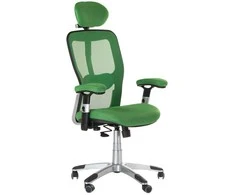 Beauty System Ergonominė biuro kėdė CorpoComfort BX-4147 Žalias