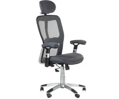 Beauty System Ergonominė biuro kėdė CorpoComfort BX-4147 Pilkas