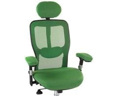 Beauty System Ergonominė biuro kėdė CorpoComfort BX-4147 Žalias