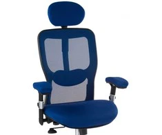 Beauty System Ergonominė biuro kėdė CorpoComfort BX-4147 Mėlyna