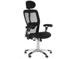 Beauty System Ergonominė biuro kėdė CorpoComfort BX-4147 Juodas