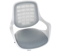 Beauty System Biuro kėdė ant ratukų CorpoComfort BX-4325 Pilkas