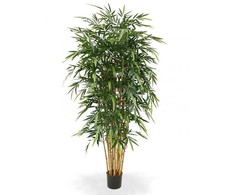 Dirbtinis augalas Bambukas 210cm