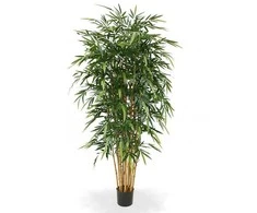 Dirbtinis augalas Bambukas 210cm
