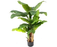 Dirbtinis augalas Bananas 140cm