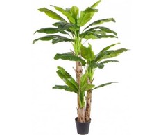 Dirbtinis augalas Bananas 240cm