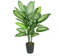 Dirbtinis augalas Difenbachija 115cm