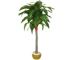 Dirbtinis augalas Dracena 110cm