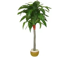 Dirbtinis augalas Dracena 110cm