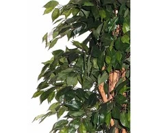 Dirbtinis augalas Fikusas MEZZO 180cm