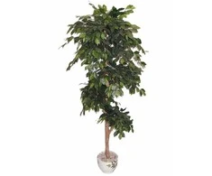 Dirbtinis augalas Fikusas PLY 180cm