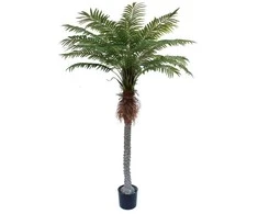 Dirbtinis augalas Palmė 180cm
