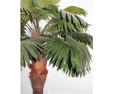 Dirbtinis augalas Palmė ALTO 210cm
