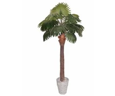 Dirbtinis augalas Palmė ALTO 210cm
