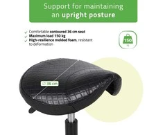 Habys Balninė ergonomiška meistro kėdutė Lumo Comfy Base juodas