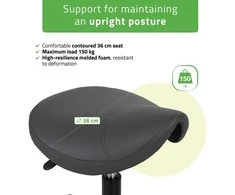 Habys Balninė ergonomiška meistro kėdutė Lumo Comfy Base pilkas
