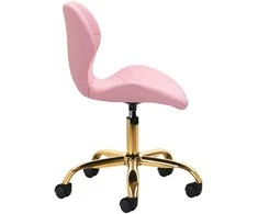 Activeshop Rožinė Kosmetologinė meistro kėdutė QS-06G Rožinė