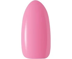 Activeshop Hibridinis nagų lakas Ocho, 317, 5 g