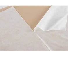 Restpro Vienkartinis užtiesalas masažo stalui 40m (60cm x 200cm)