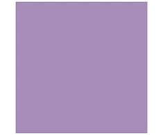Dolovija Spalvotas popierius 80g A4/100l violetinis