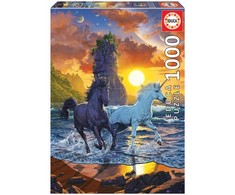 Educa Dėlionė (puzzle) 1000 VEINARAGIAI PAPLŪDYMYJE 12-99 metų