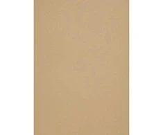 Dolovija Popier.A4 CM 120g.Gold Leaf 408161
