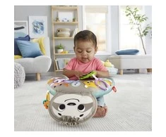 Fisher Price pagalvėlė tinginukas