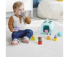 Mattel FISHER-PRICE formelių rūšiuoklė – Naminiai gyvūnėliai (HTW93)