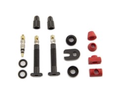 Carbon ventiliai Barbieri VALVE SET 35MM