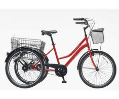 Kita Triratis Bissan Bike PORTER 24 raudonas