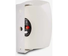 AMC iPlay 5WT sieninis garsiakalbis (baltas)