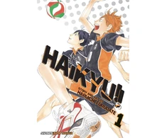 KNYGA Komiksas Manga Haikyu!! Vol 1