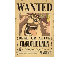 Plakatas One Piece