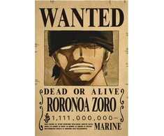 Plakatas One Piece