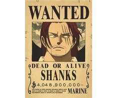 Plakatas One Piece