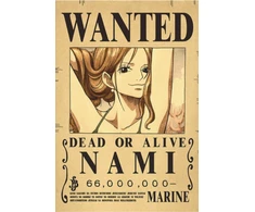 Plakatas One Piece