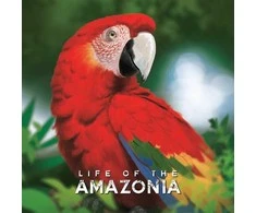 Bad Comet Life of the Amazonia