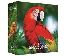 Bad Comet Life of the Amazonia