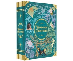 Bad Comet Wondrous Creatures