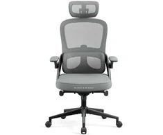Ergonominė kėdė Diablo V, šviesiai pilka