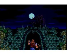 „Konami Castlevania Anniversary Collection“ (ribotas važiavimas Nr. 405) PS4