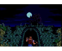 „Konami Castlevania“ jubiliejaus kolekcija (ribotas bėgimas Nr. 106)