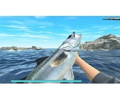 Natsume Reel Fishing: Road Trip Adventure PS4