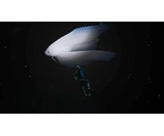 Nintendo Endless Ocean Luminous