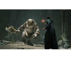 WARNER BROS Hogwarts Legacy Xbox Series X