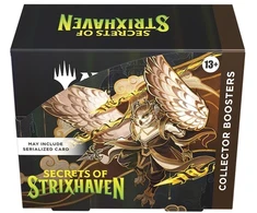 Wizards of the Coast Magic: The Gathering - Secrets of Strixhaven Collector's Booster Ekranas (12 Packs)