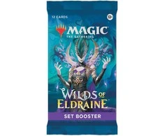 Wizards of the Coast Magic: The Gathering - Wilds of Eldraine Set Booster