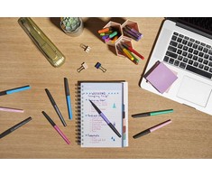 Flomasteriai Papermate Flair medium (0,7 mm) | metallic | 6 vnt. - 2137361