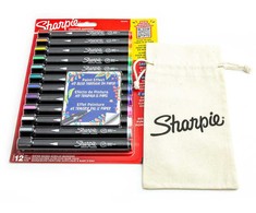 12 spalvų Sharpie Creative akrilo markerių rinkinys su dažymo maišeliu